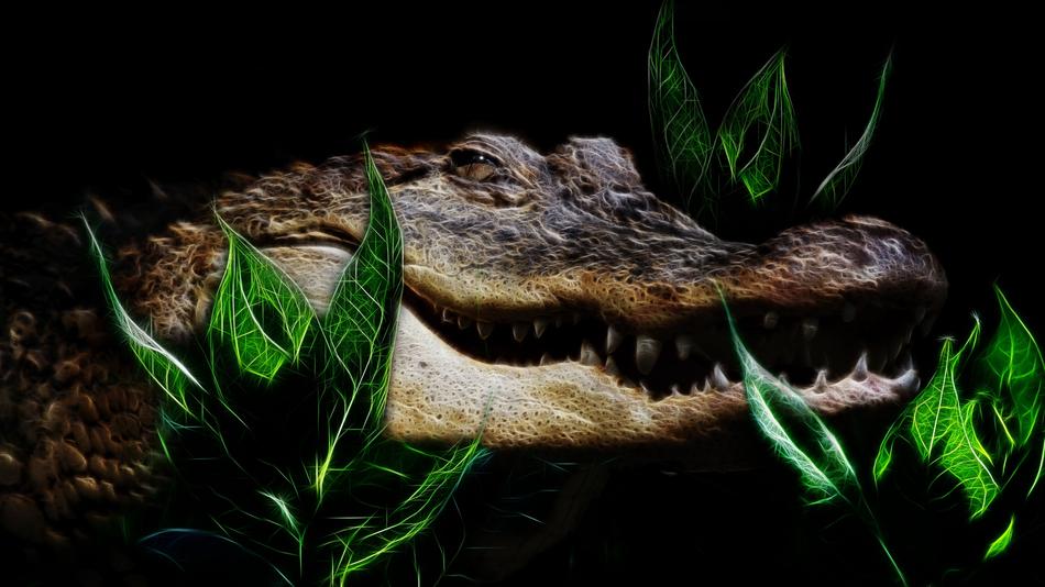 crocodile fractalius tooth