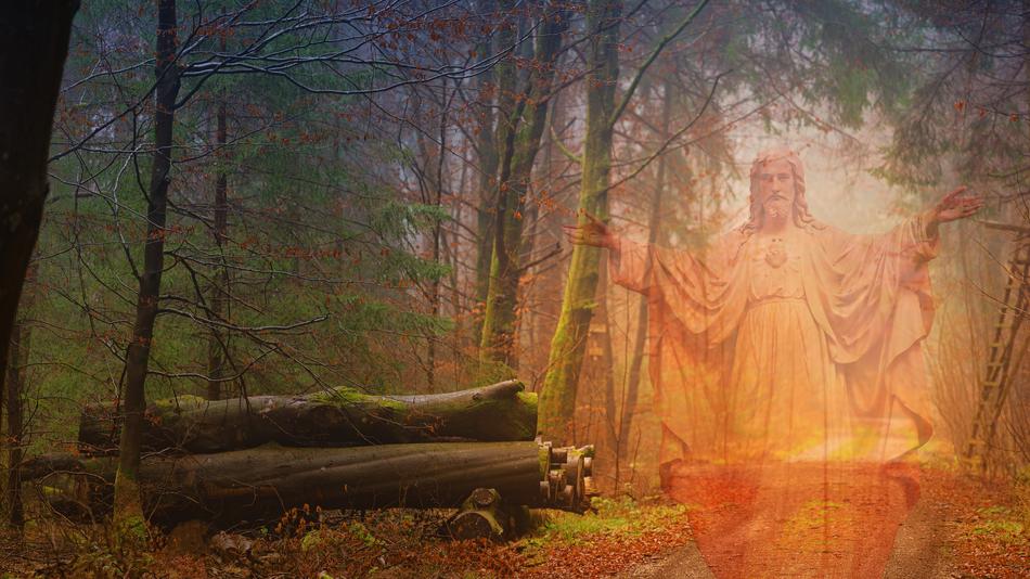 Jesus Tree Autumn