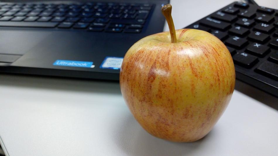 Apple Computer Fruit
