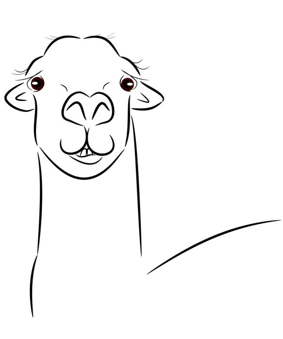 llama llama head animal face
