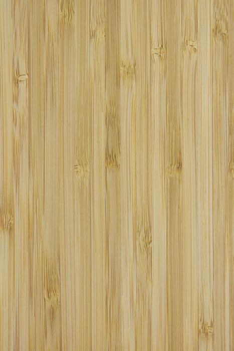 The Background Wood Wooden