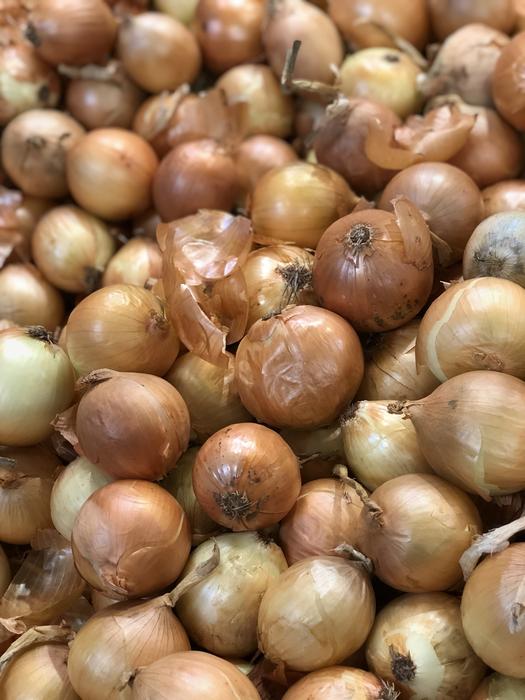 Onion harvest in a box