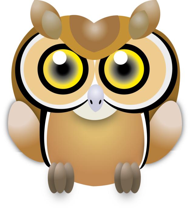 owl wisdom ave feathers bird