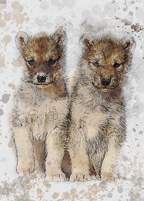 sled dogs greenland expensive