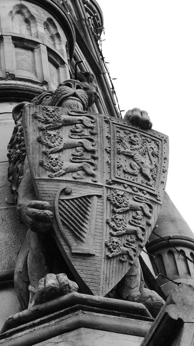 Black And White Shield