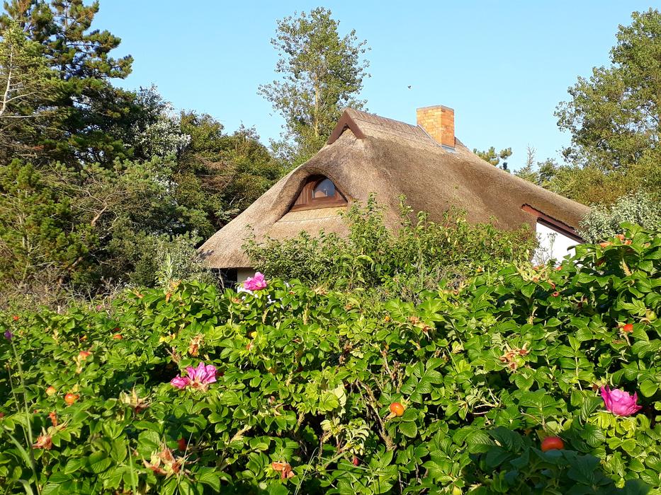 Thatched Roof House Heck
