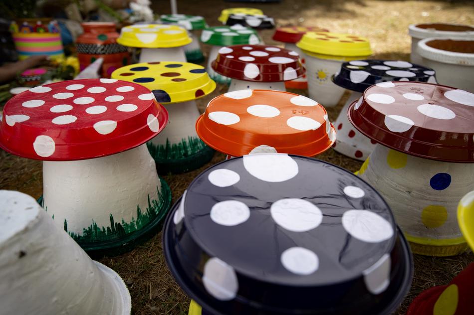 ladybugs Mushroom Art And Craft