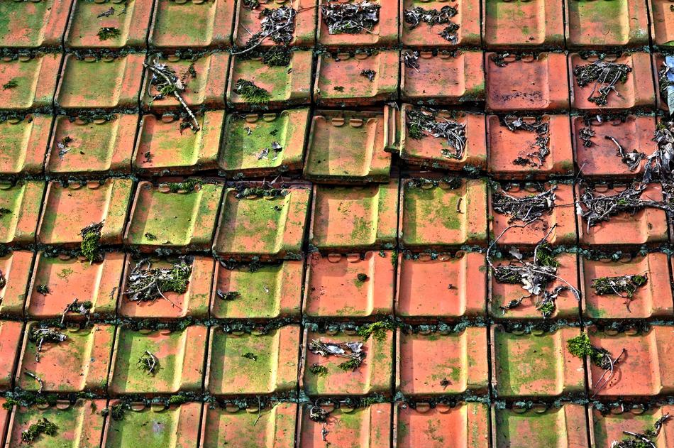 Roof Tiles Tiled
