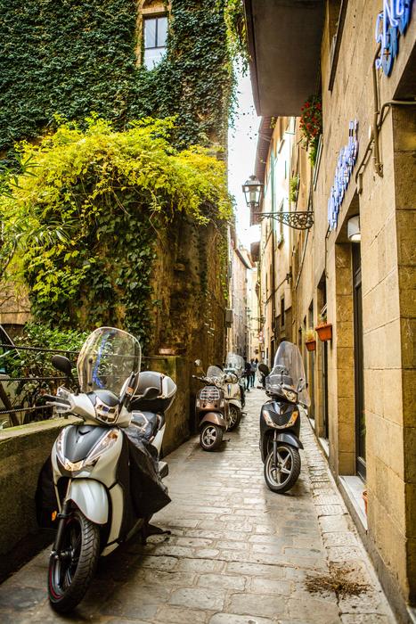 Florence Italy Yard