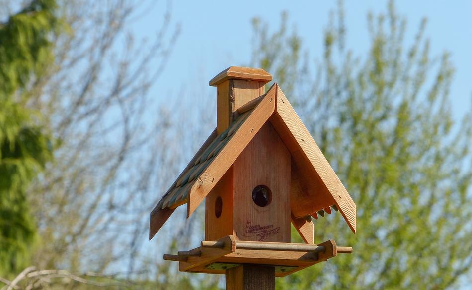 Bird Feeder Nest Roof