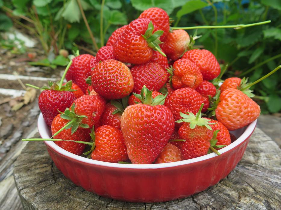 Sweet delicious strawberries in a plate