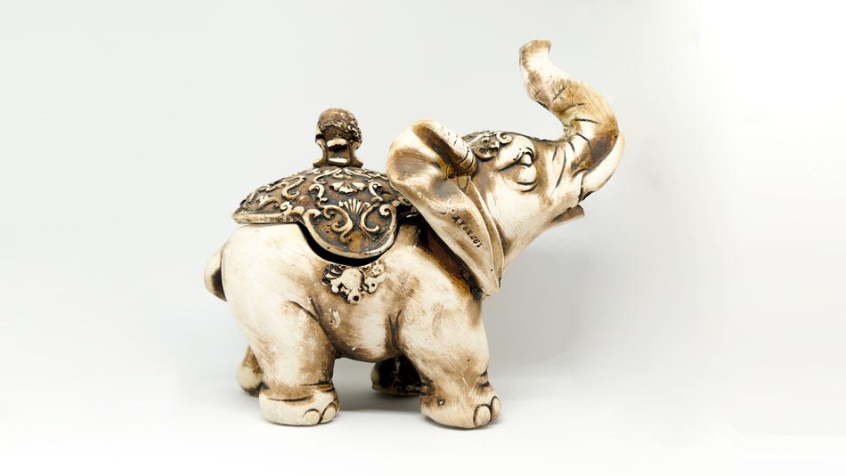 Animal Nature Elephant