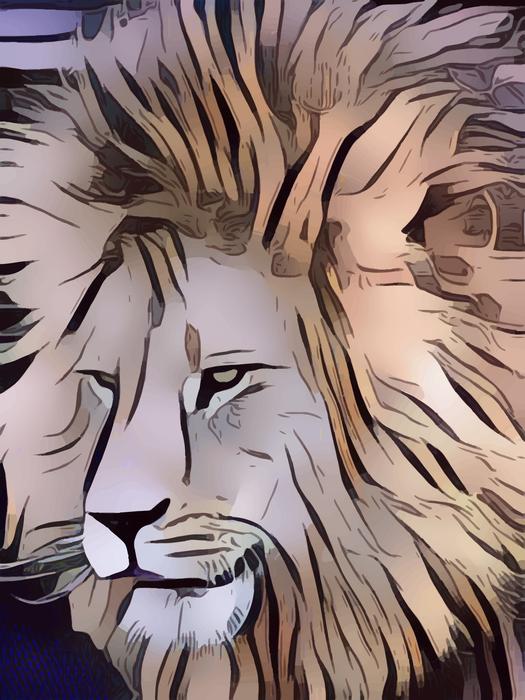 lion king jungle big mane wild
