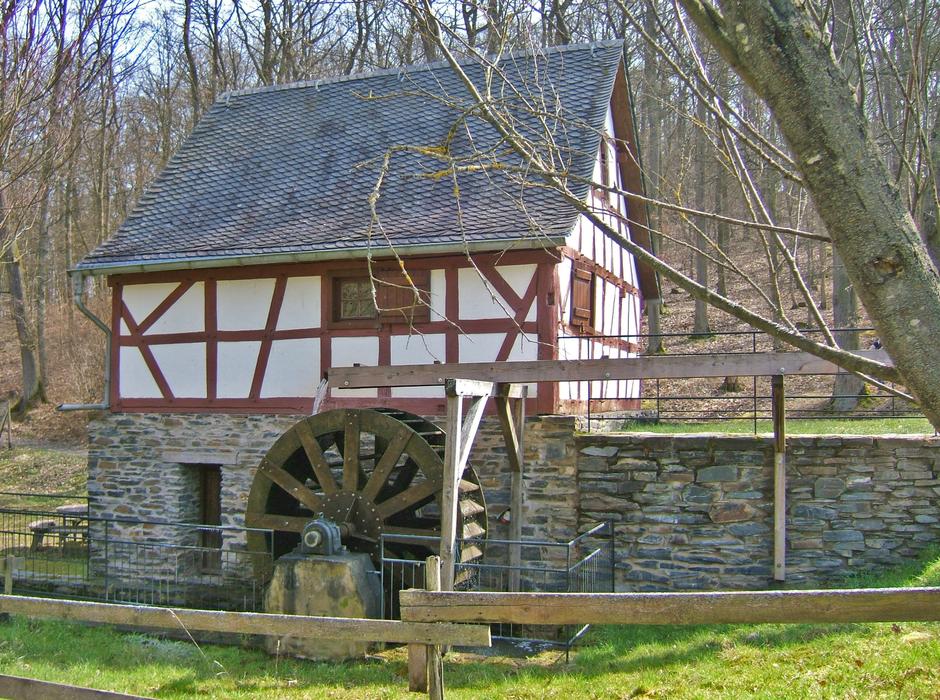 Wood House Woods