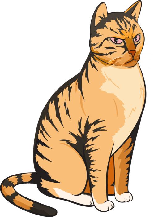 striped cat