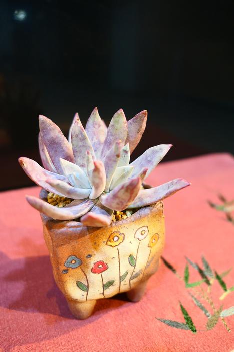 Background Flower
