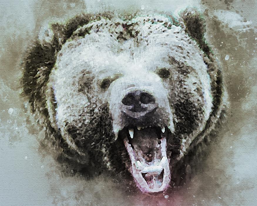 aggressive bear in the snow