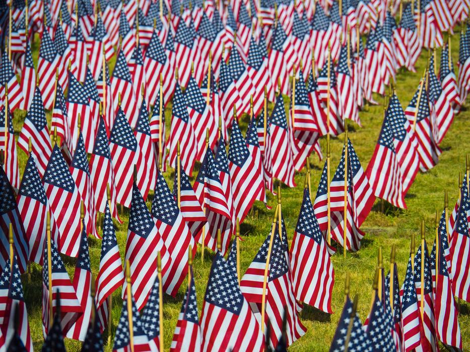 Colorful USA flags in the green field in America