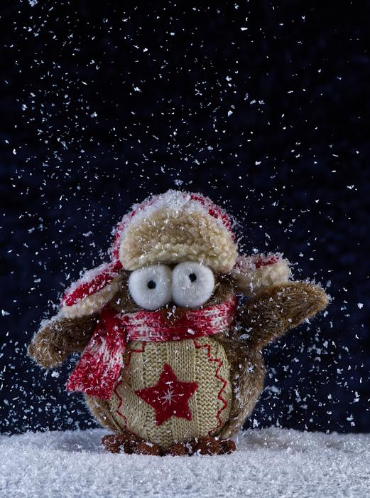 toy owl in a winter hat