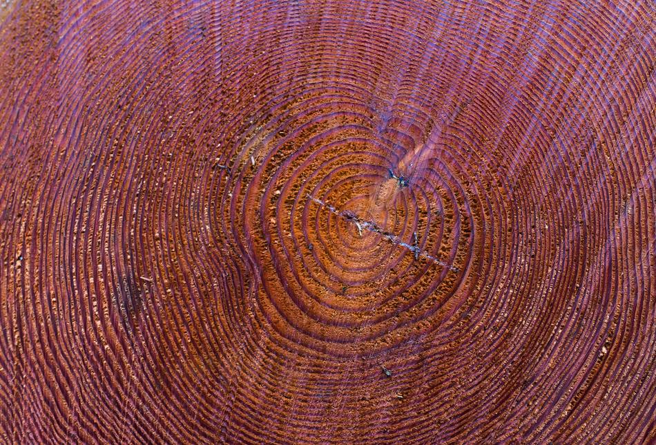 Pattern Texture Background