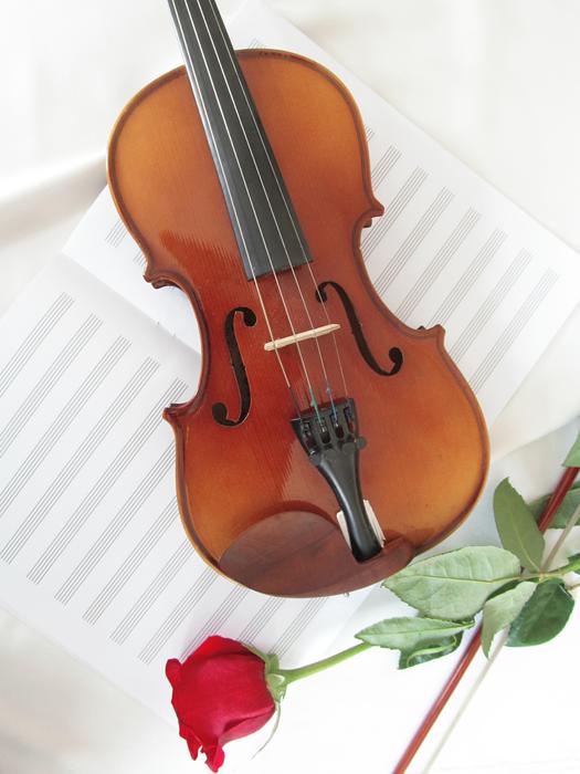 Classic violin and rose