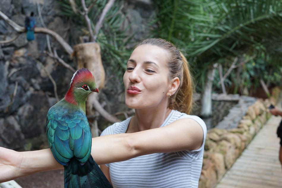 Bird Nature Beautiful