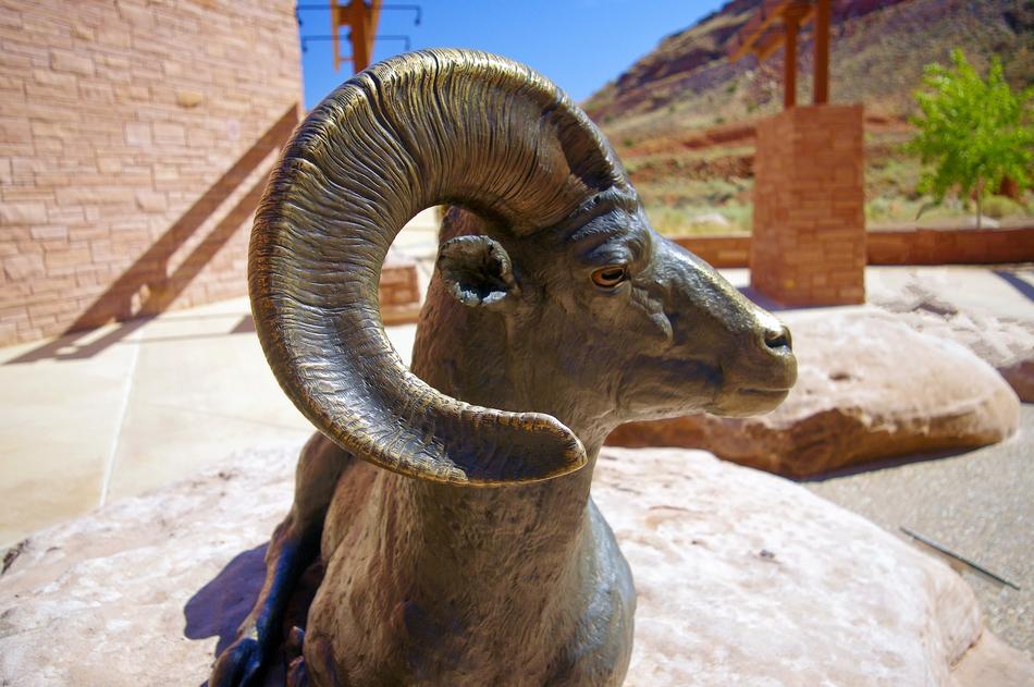 Bronze Ram Bighorn Statue