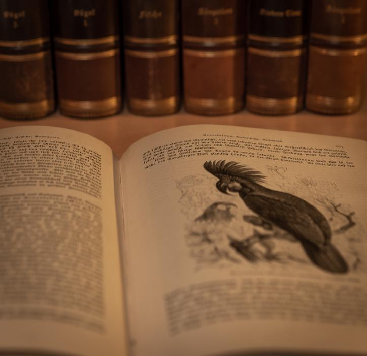 open book with a picture of a bird on the page