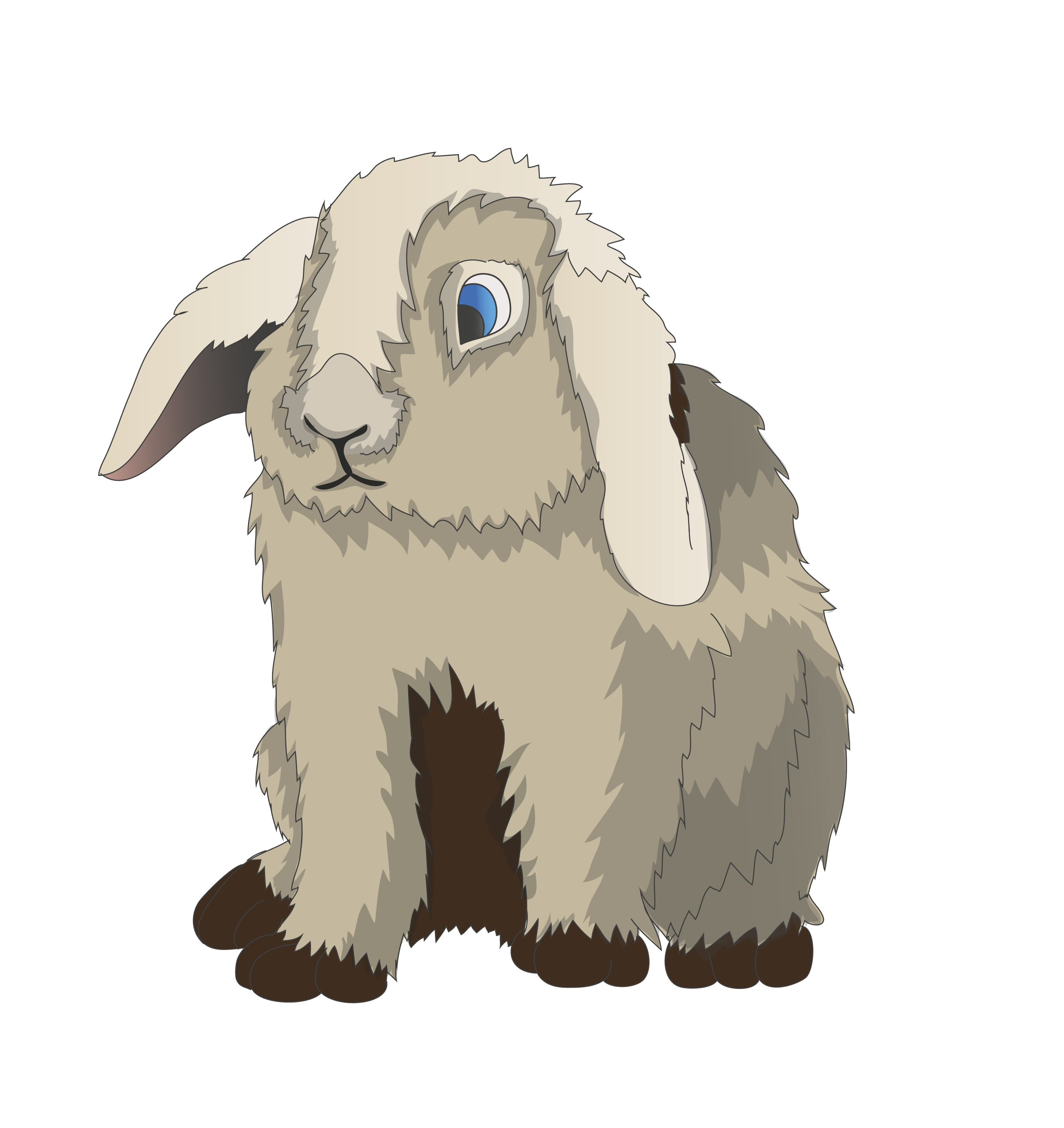 Rabbit hare munchkins pet free image download