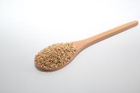 seeds on a wooden spoon