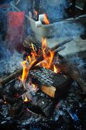 roasted marshmallows on fire
