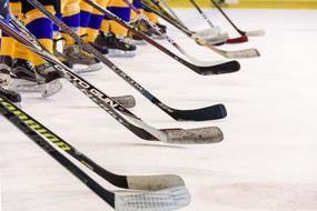 Hockey Team Game Ice