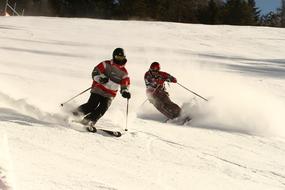 Snow Winter Sport