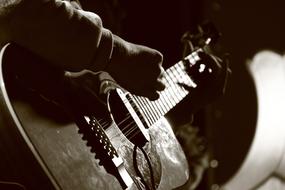 Guitar Instrument monochrome