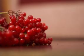 handful of red berries