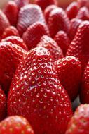 Closeup of ripe fresh strawberries