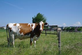 Farm Hayfields S