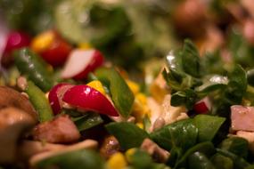 tasty fresh salad is healthy