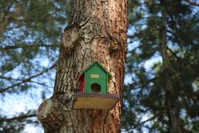 Tree Birdhouse
