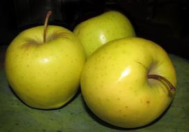 ripe juicy green apples