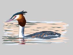 lambale bird illustration