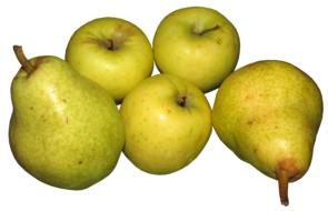juicy apples and pears on a white background