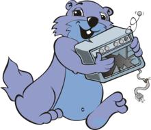 marmot mammal rodent blue violet