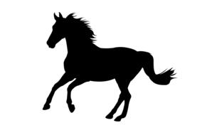 Horse silhouette icon