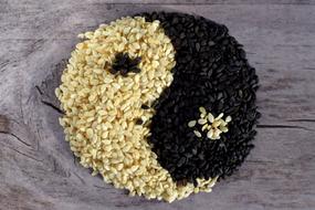 Spices, black and white Sesame seeds in yin-yang symbol shape on grey wood Background