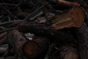 branches and sticks for a fire in the dark