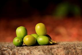 closeup of green berries