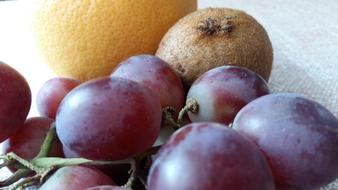Delicious ripe colored fruits