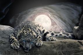 Moon Snow Cave