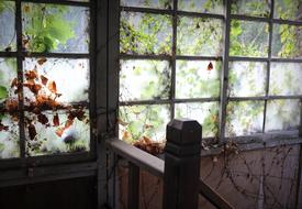 glass leaves the old house